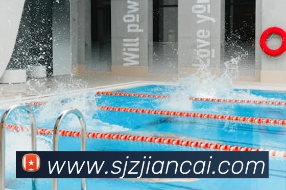 开云官方登陆入口APP 封面图